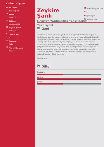 Hasta ve Yaşlı Bakım Elemanı Cv Örnekleri cv indir